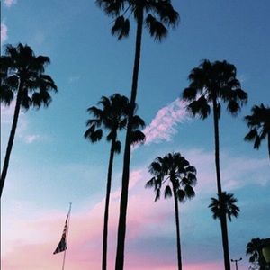 Meet your Posher, Deedee